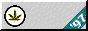 3lglztnow.gif (2622 bytes)